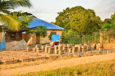 DSC_4286 (Large).JPG